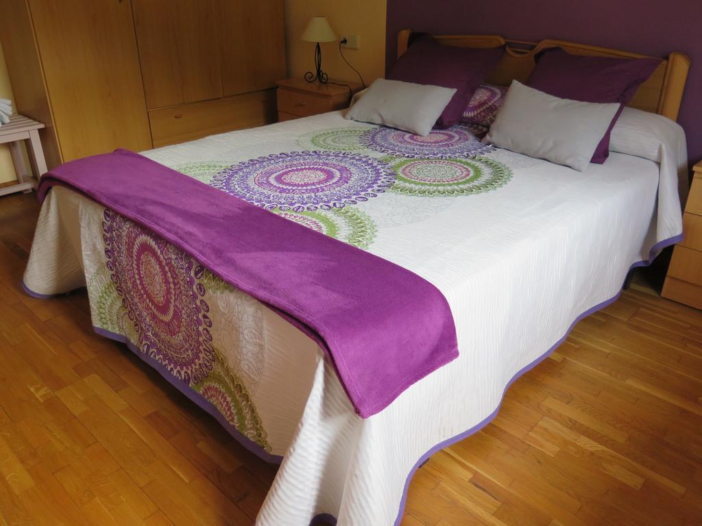 Apartaments El Ribal Valencia D'Aneu Εξωτερικό φωτογραφία